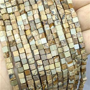 Natural Picture Jasper Cube Beads, approx 4mm