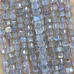 Natural Labradorite Beads Faceted Cube, approx 3mm