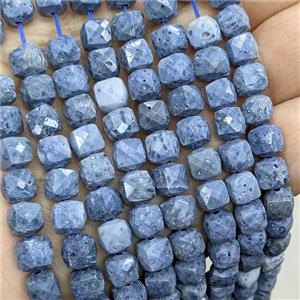Blue Coral Fossil Beads Faceted Cube, approx 7-8mm
