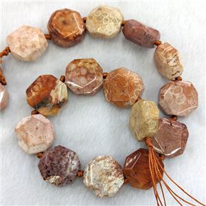 Coral Fossil Hexagon Beads, approx 22-23mm