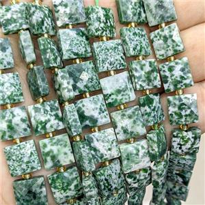 Green Dalmatian Jasper Square Beads Faceted, approx 10mm