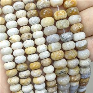 Natural Coral Fossil Beads Yellow Smooth Rondelle, approx 5x8mm