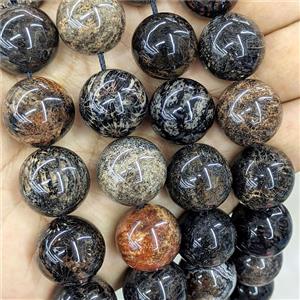 Natural Coral Fossil Beads Smooth Round Black Dye B-Grade, approx 20mm