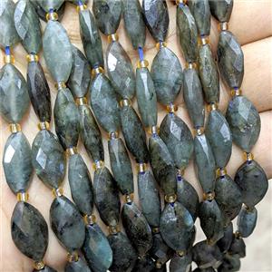 Natural Labradorite Horseeye Beads Faceted, approx 10-16mm