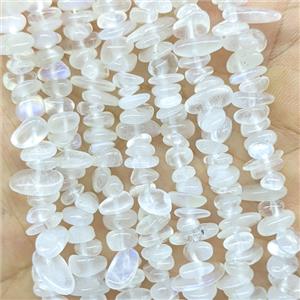 Natural White Moonstone Chips Beads Freeform, approx 5-8mm