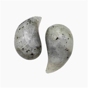 Natural Labradorite Comma Pendant, approx 10-20mm