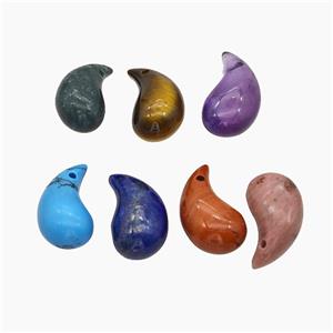 Natural Gemstone Comma Pendant Teardrop, approx 10-20mm