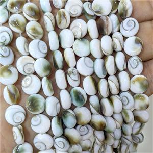 Sea Shell Button Beads, approx 10mm