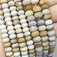 Natural Coral Fossil Beads Yellow Smooth Rondelle, approx 6x10mm